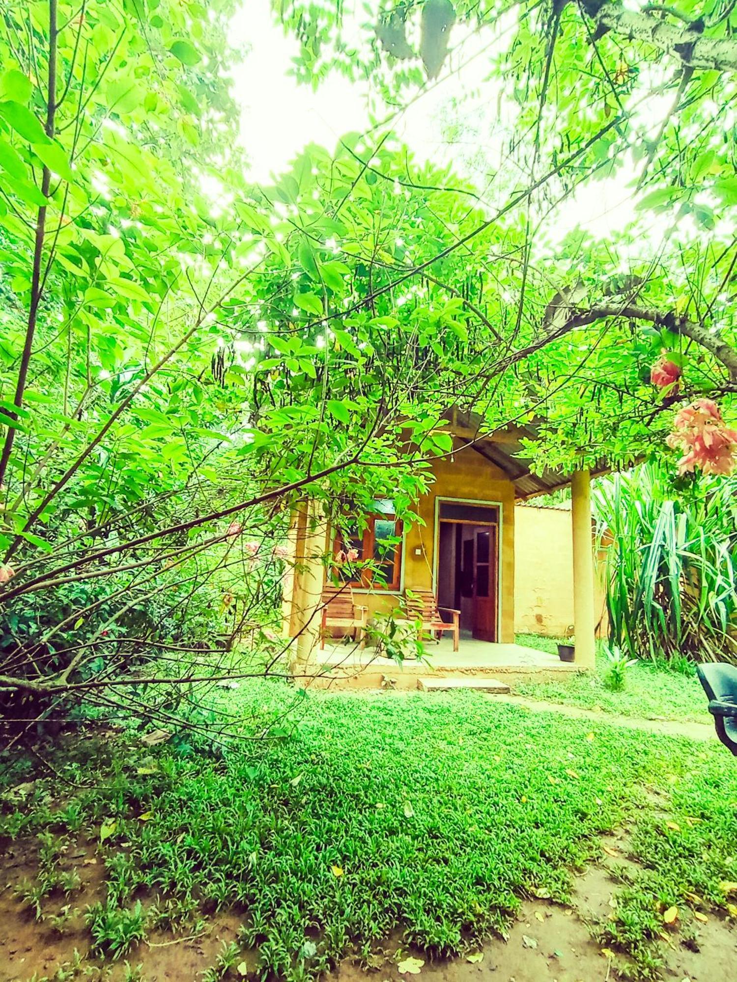Monkey Jungle Cottage Udawalawe Esterno foto