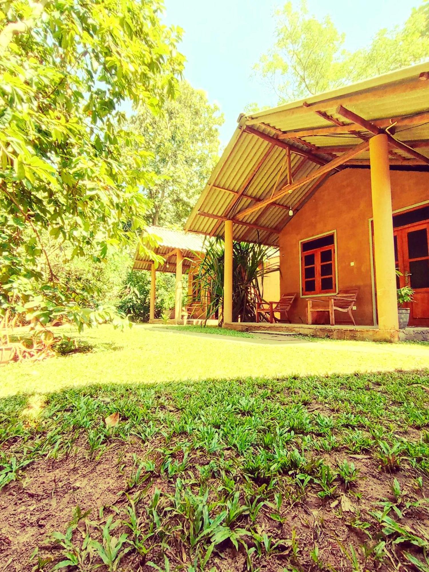 Monkey Jungle Cottage Udawalawe Esterno foto